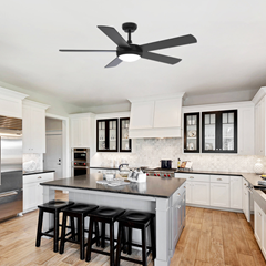 Black Ceiling Fan with Light